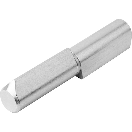 Kipp Hinge Weldable 20X100, D=16, Stainless Steel Satin Finished Polished, Comp:Stainless Steel K1337.016100